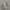 Sportswear Jersey Pria white photo 5