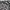 Vision Street Wear Vintage Streetwear Casual shirt Pria white black photo 4