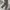 Arc'teryx Streetwear Gorpcore Tracksuit Pria gray photo 2