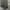 Arc'teryx Streetwear Gorpcore Tracksuit Pria gray photo 5