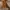 Geox Cosplay Knee high boots Wanita brown photo 2
