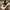 LANVIN Luxury Heels Wanita gold white photo 2