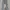 LC Waikiki Streetwear Emo Ripped jeans Wanita white gray photo 2