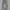 LC Waikiki Streetwear Emo Ripped jeans Wanita white gray photo 1