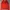 Lacoste Y2K Cardigan Pria red photo 1