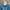 Streetwear Casual Denim jacket Wanita navy photo 1