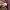 Casual Harrington jacket Pria multicolor photo 4