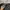 Arc'teryx Streetwear Gorpcore Tracksuit Pria gray photo 6