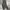 Arc'teryx Streetwear Gorpcore Tracksuit Pria gray photo 2