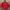 Converse Streetwear Sportswear Track jacket Pria red photo 4