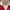 Converse Streetwear Sportswear Track jacket Pria red photo 6