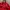 Converse Streetwear Sportswear Track jacket Pria red photo 3