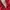 Converse Streetwear Sportswear Track jacket Pria red photo 5