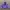 Phenix Streetwear Sportswear Bomber Jacket Wanita Purple