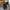 Vintage Y2K Jeans Pria white black photo 6