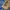 Columbia Vintage Sportswear Windbreaker Wanita tan navy photo 4