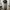 Vintage Y2K Jeans Pria gray photo 1