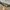 Outdoor Research Gorpcore Casual Tracksuit Pria tan photo 5