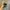 Outdoor Research Gorpcore Casual Tracksuit Pria tan photo 4