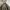Back Number Sportswear Casual Bomber jacket Pria green photo 2