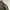 Back Number Sportswear Casual Bomber jacket Pria green photo 3