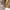 Uniqlo Y2K Casual Puffer jacket Pria gold cream photo 3