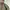 ZARA Sportswear Casual Bomber jacket Pria green photo 3