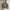 ZARA Sportswear Casual Bomber Jacket Pria Green