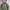 ZARA Sportswear Casual Bomber jacket Pria green photo 2