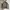 ZARA Sportswear Casual Bomber jacket Pria green photo 4