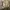 Luxury Bomber jacket Pria tan photo 5