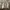 Luxury Bomber jacket Pria tan photo 1