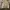 Luxury Bomber jacket Pria tan photo 2