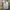 Carhartt Luxury T-shirt Pria multicolor photo 3