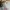Carhartt Luxury T-shirt Pria multicolor photo 6