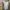Carhartt Luxury T-shirt Pria multicolor photo 5