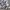 Roxy Streetwear Y2K Windbreaker Pria multicolor photo 3