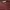 Japanese brand Coquette Casual Blouse Wanita burgundy white photo 4