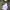 Andersson Bell Streetwear Leather jacket Pria white photo 4