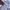 Andersson Bell Streetwear Leather jacket Pria white photo 5