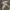 GOA Grunge Goth Scarf Pria cream photo 1