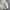 H&M Streetwear Y2K Puffer jacket Pria tan photo 4