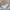 Americana Vintage Streetwear Sweater Pria gray photo 3