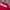 Nike Vintage Y2K Sweatshirt Pria red orange photo 2