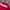 Nike Vintage Y2K Sweatshirt Pria Red Orange