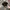 Kangol Vintage Y2K Hat Wanita black photo 1