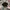 Kangol Vintage Y2K Hat Wanita Black