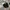 Kangol Vintage Y2K Hat Wanita black photo 3