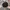 Kangol Vintage Y2K Hat Wanita black photo 2