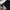 Carhartt Streetwear Sweater Pria black photo 4